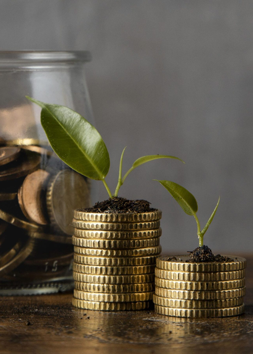 fixed account02 Commercial Trust Bank